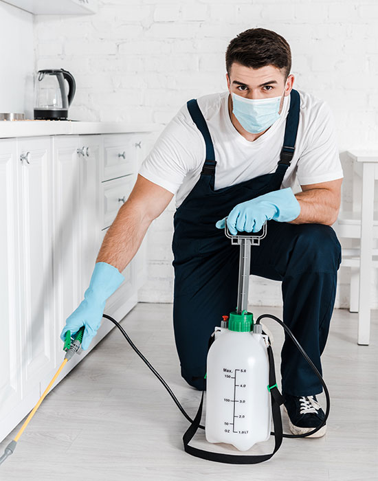 Nuisibles & Co : Expert anti-nuisibles en Picardie (22)