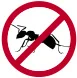 fourmis
